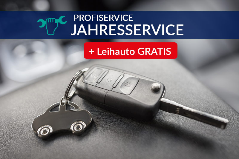 Profiservice Jahresservice